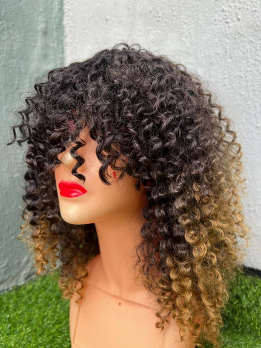 Sisi Blend Human Hair Pizzie Curls Wig